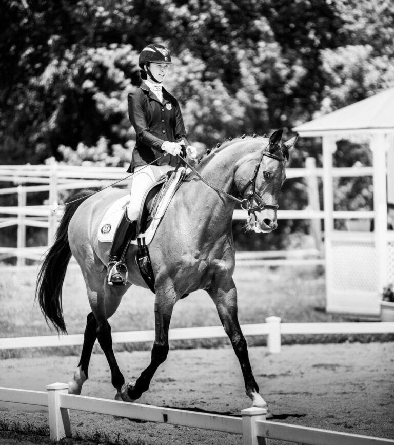 News & Events Vienna Farm